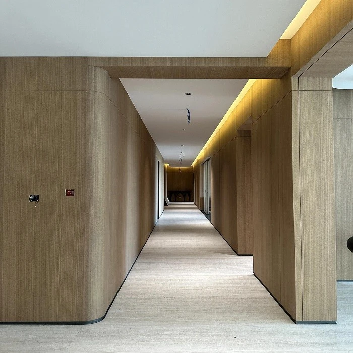 Veneer WPC Interior Wall Panel best